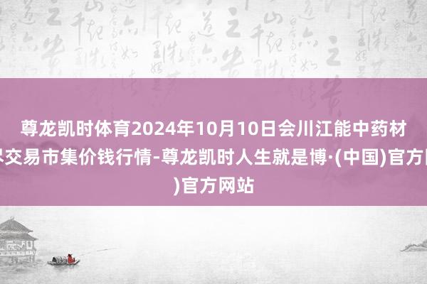 尊龙凯时体育2024年10月10日会川江能中药材详尽交易市集价钱行情-尊龙凯时人生就是博·(中国)官方网站