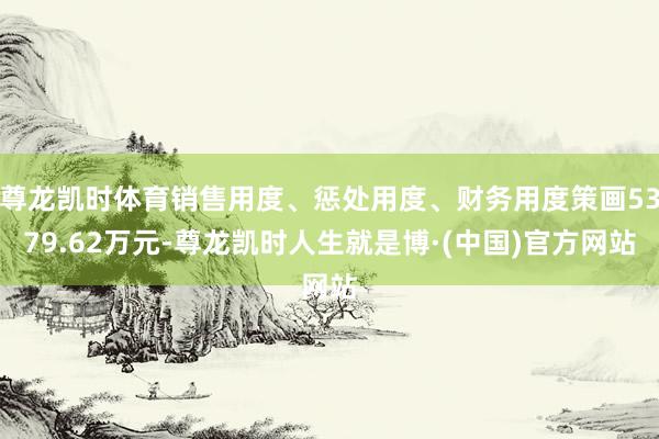 尊龙凯时体育销售用度、惩处用度、财务用度策画5379.62万元-尊龙凯时人生就是博·(中国)官方网站