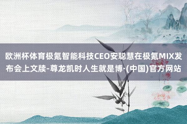 欧洲杯体育极氪智能科技CEO安聪慧在极氪MIX发布会上文牍-尊龙凯时人生就是博·(中国)官方网站