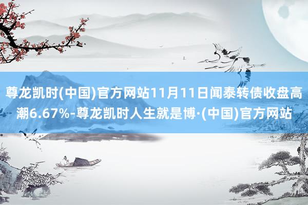 尊龙凯时(中国)官方网站11月11日闻泰转债收盘高潮6.67%-尊龙凯时人生就是博·(中国)官方网站