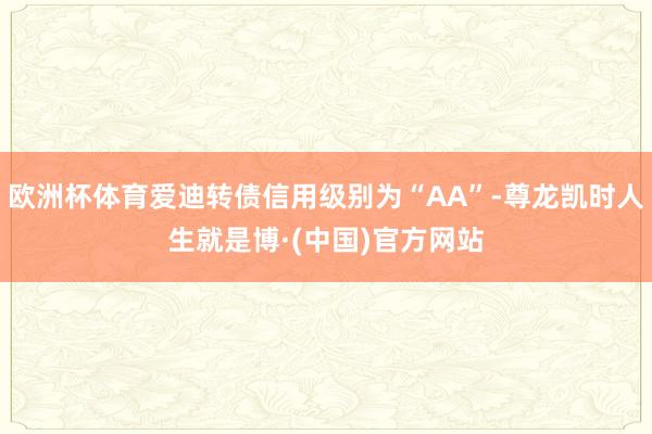 欧洲杯体育爱迪转债信用级别为“AA”-尊龙凯时人生就是博·(中国)官方网站