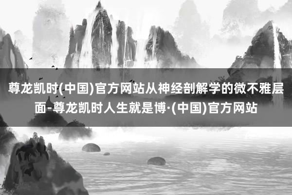 尊龙凯时(中国)官方网站从神经剖解学的微不雅层面-尊龙凯时人生就是博·(中国)官方网站