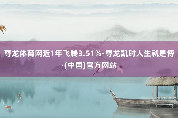 尊龙体育网近1年飞腾3.51%-尊龙凯时人生就是博·(中国)官方网站