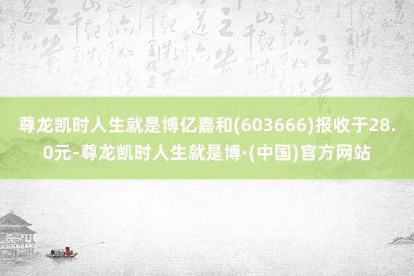 尊龙凯时人生就是博亿嘉和(603666)报收于28.0元-尊龙凯时人生就是博·(中国)官方网站