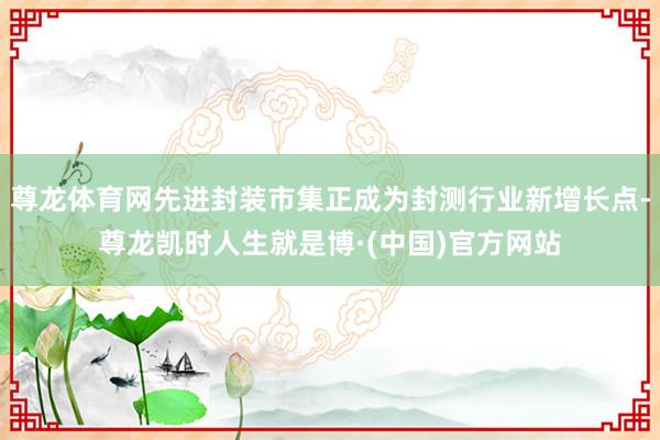 尊龙体育网先进封装市集正成为封测行业新增长点-尊龙凯时人生就是博·(中国)官方网站