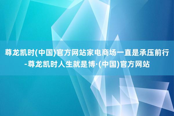 尊龙凯时(中国)官方网站家电商场一直是承压前行-尊龙凯时人生就是博·(中国)官方网站