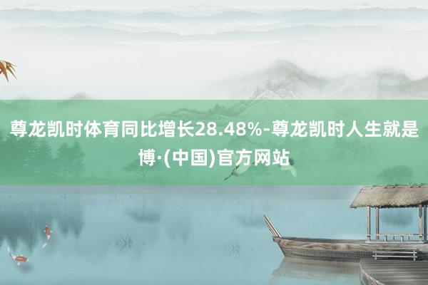 尊龙凯时体育同比增长28.48%-尊龙凯时人生就是博·(中国)官方网站