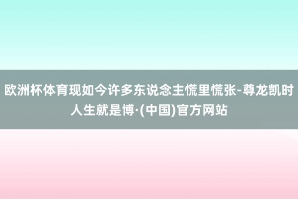 欧洲杯体育现如今许多东说念主慌里慌张-尊龙凯时人生就是博·(中国)官方网站