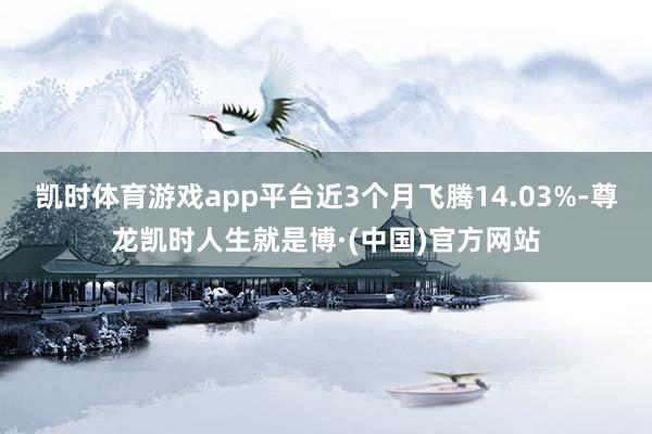 凯时体育游戏app平台近3个月飞腾14.03%-尊龙凯时人生就是博·(中国)官方网站