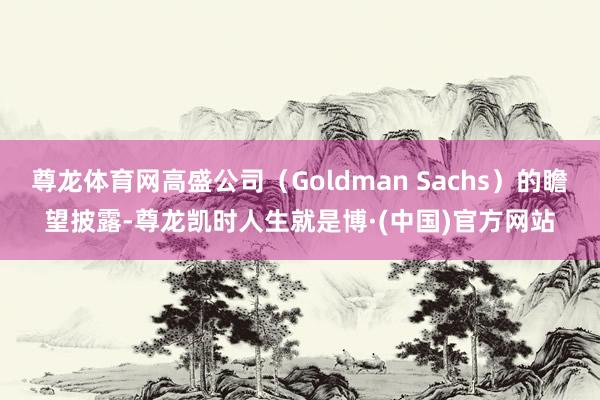 尊龙体育网高盛公司（Goldman Sachs）的瞻望披露-尊龙凯时人生就是博·(中国)官方网站