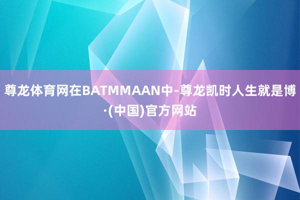 尊龙体育网在BATMMAAN中-尊龙凯时人生就是博·(中国)官方网站