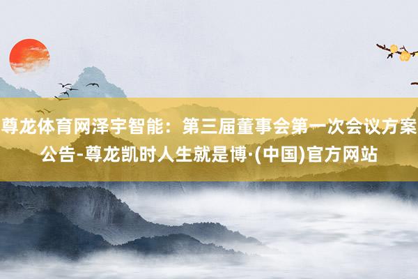 尊龙体育网泽宇智能：第三届董事会第一次会议方案公告-尊龙凯时人生就是博·(中国)官方网站