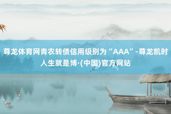 尊龙体育网青农转债信用级别为“AAA”-尊龙凯时人生就是博·(中国)官方网站