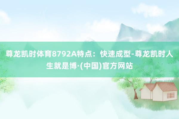 尊龙凯时体育8792A特点：快速成型-尊龙凯时人生就是博·(中国)官方网站