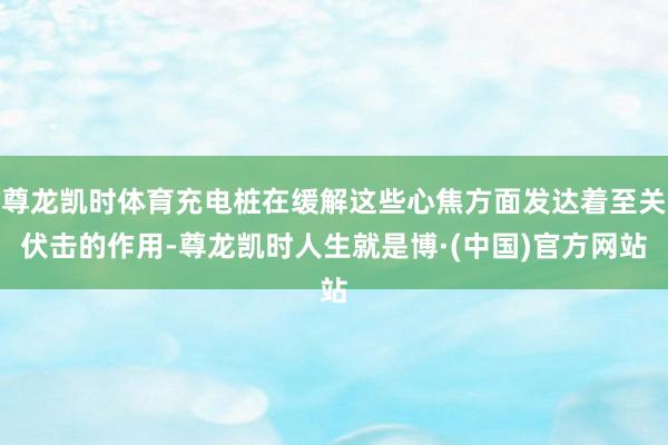 尊龙凯时体育充电桩在缓解这些心焦方面发达着至关伏击的作用-尊龙凯时人生就是博·(中国)官方网站