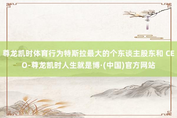 尊龙凯时体育行为特斯拉最大的个东谈主股东和 CEO-尊龙凯时人生就是博·(中国)官方网站