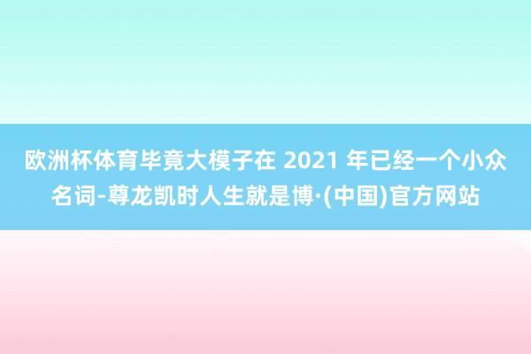 欧洲杯体育毕竟大模子在 2021 年已经一个小众名词-尊龙凯时人生就是博·(中国)官方网站