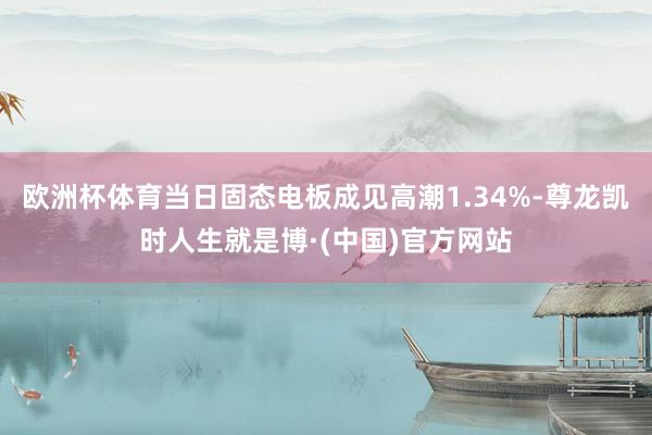 欧洲杯体育当日固态电板成见高潮1.34%-尊龙凯时人生就是博·(中国)官方网站